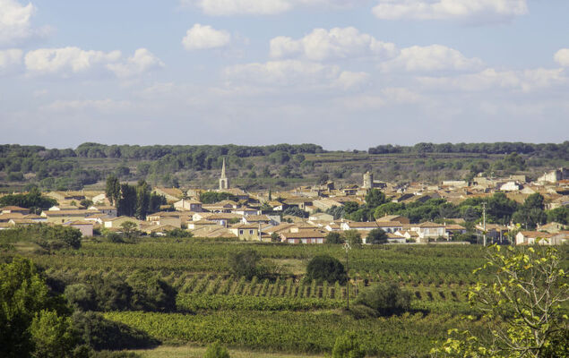 Les Hauts de St Pierre - Photo 29