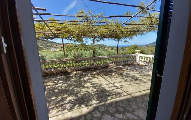 Maria-Teresa - Photo 1