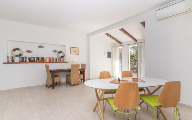 Contraruia - Photo 8