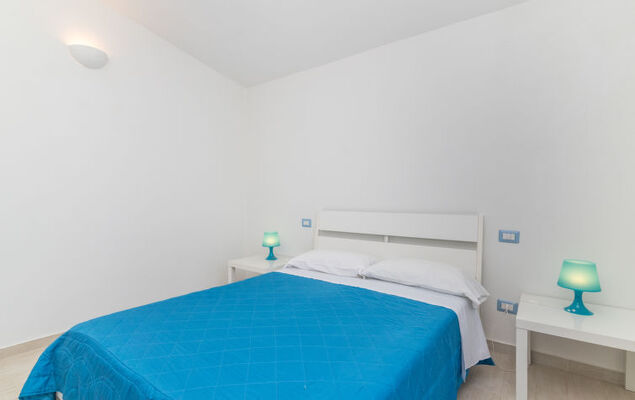 Contraruia - Photo 15