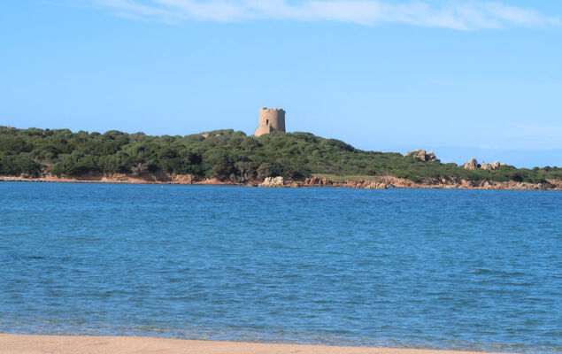 Contraruia - Photo 27