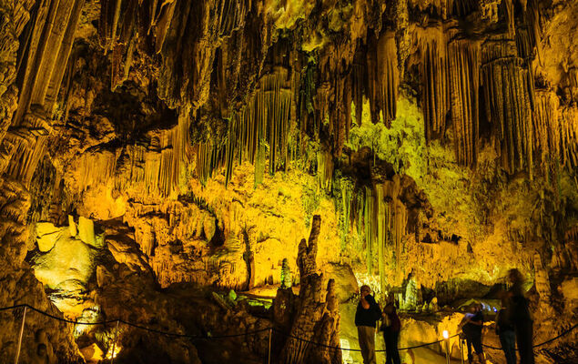 Casita Feliz - Photo 35